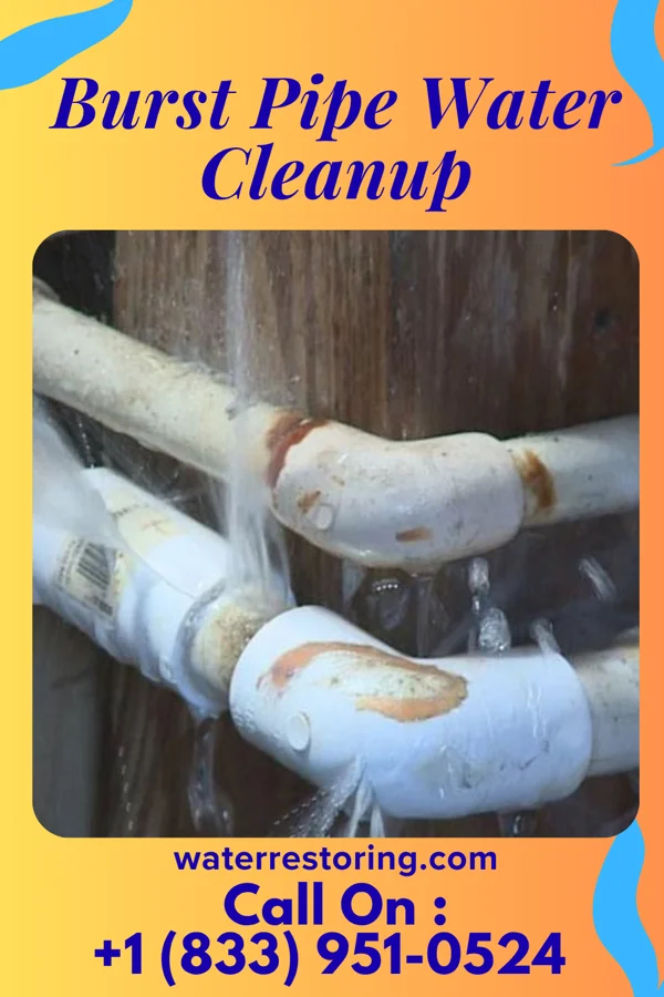 Burst Pipe Water Cleanup in Mangham, LA