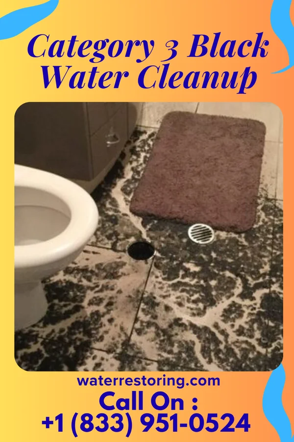 Category 3 Black Water Cleanup in Mangham, LA