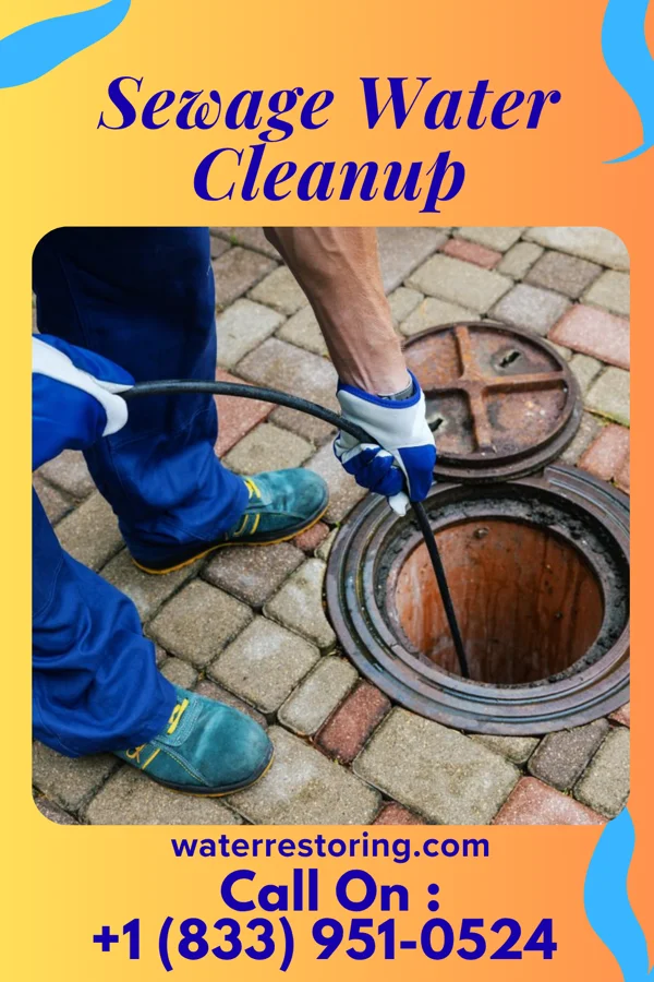 Sewage Water Cleanup in Mangham, LA